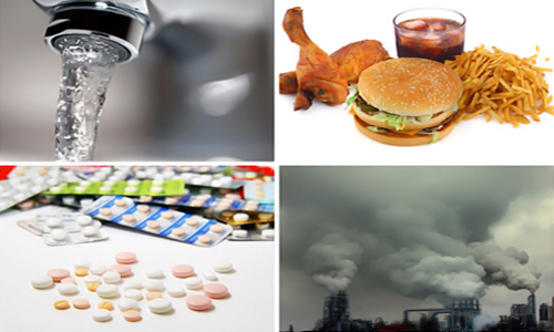 画像の説明 画像の説明