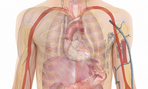 画像の説明 画像の説明