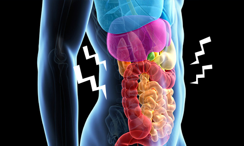 画像の説明 画像の説明